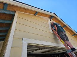 Best Vinyl Siding Installation  in Rio Rico, AZ